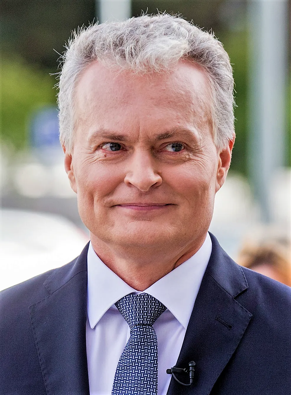 President Gitanas Nausėda van Litouwen